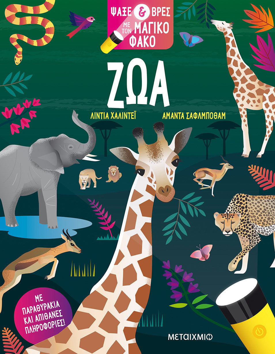 Ζώα. Ψάξε & Βρες με τον Μαγικό Φακό