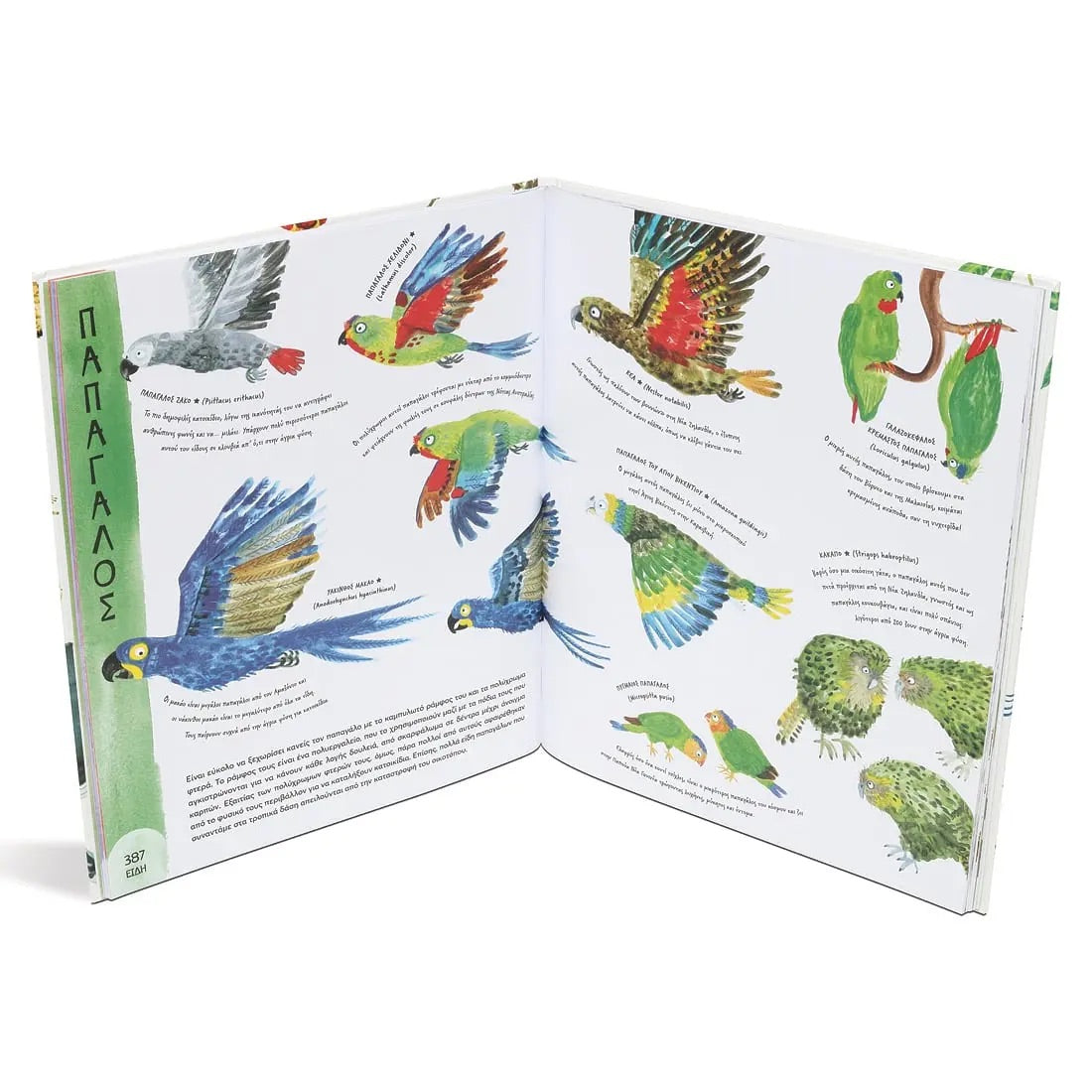 Το θαύμα της ζωής