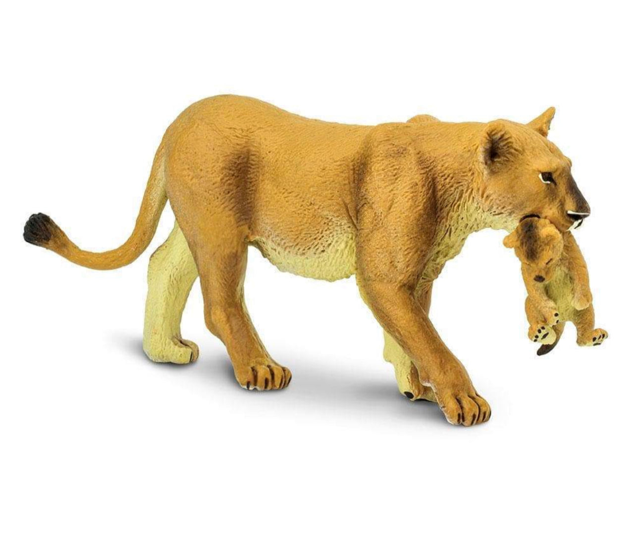 Safari Λέαινα με το μικρό της