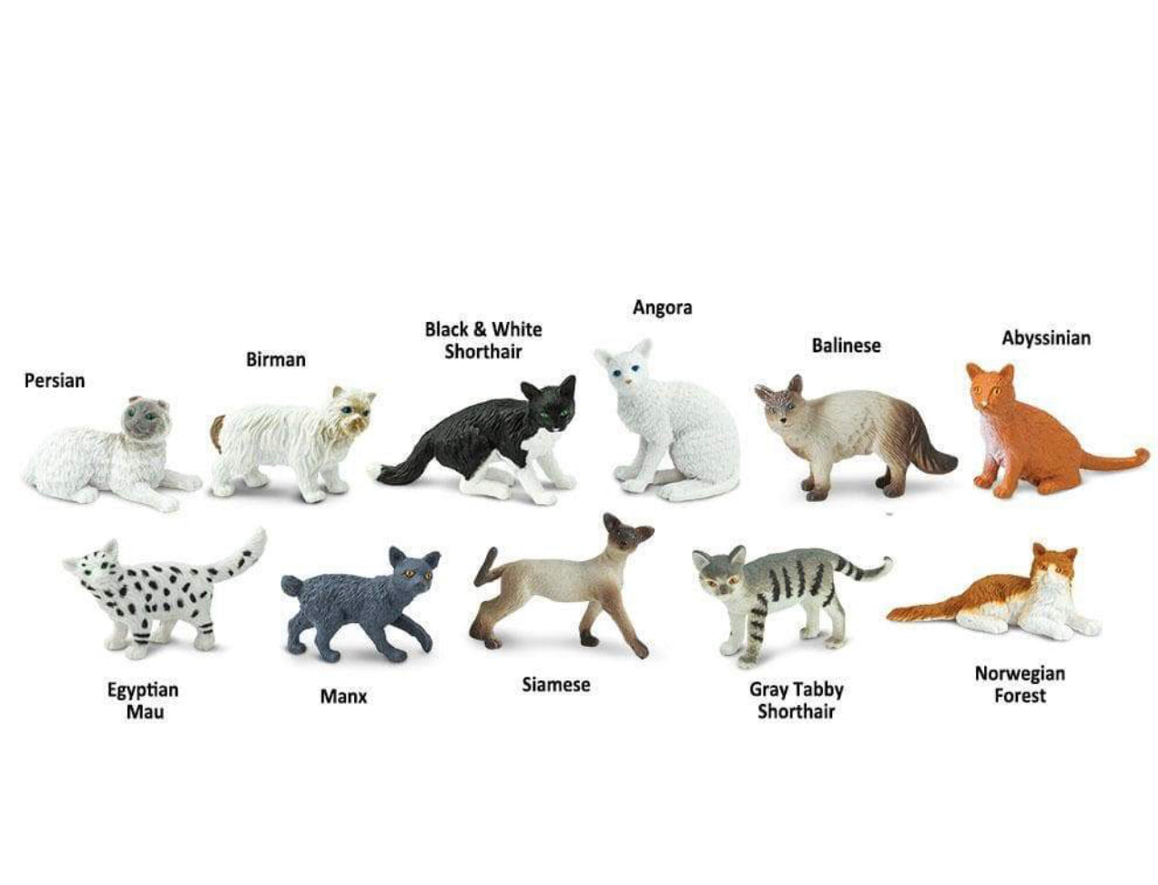 Μινιατούρες Safari Γάτες