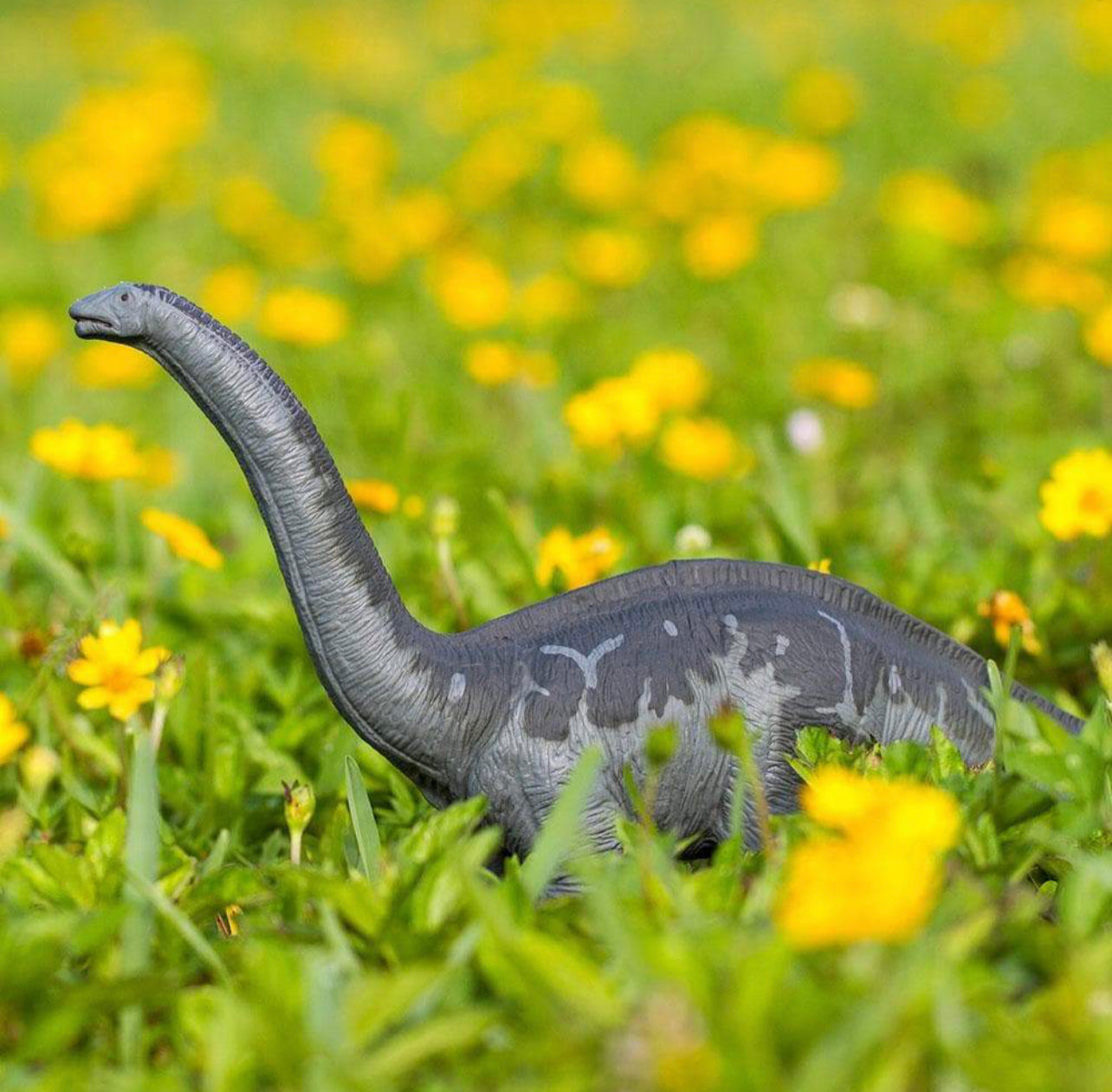 Safari Απατόσαυρος