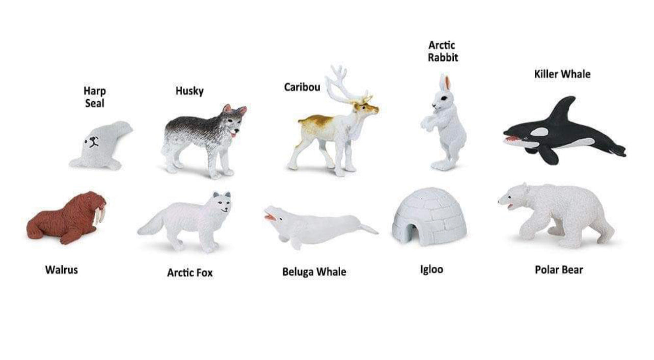 Μινιατούρες Safari Αρκτική