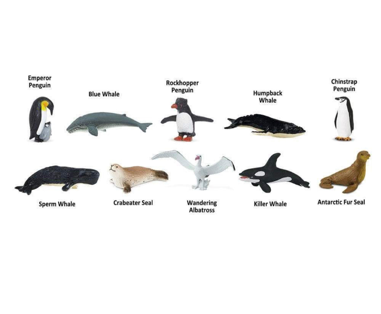 Μινιατούρες Safari Ανταρκτική