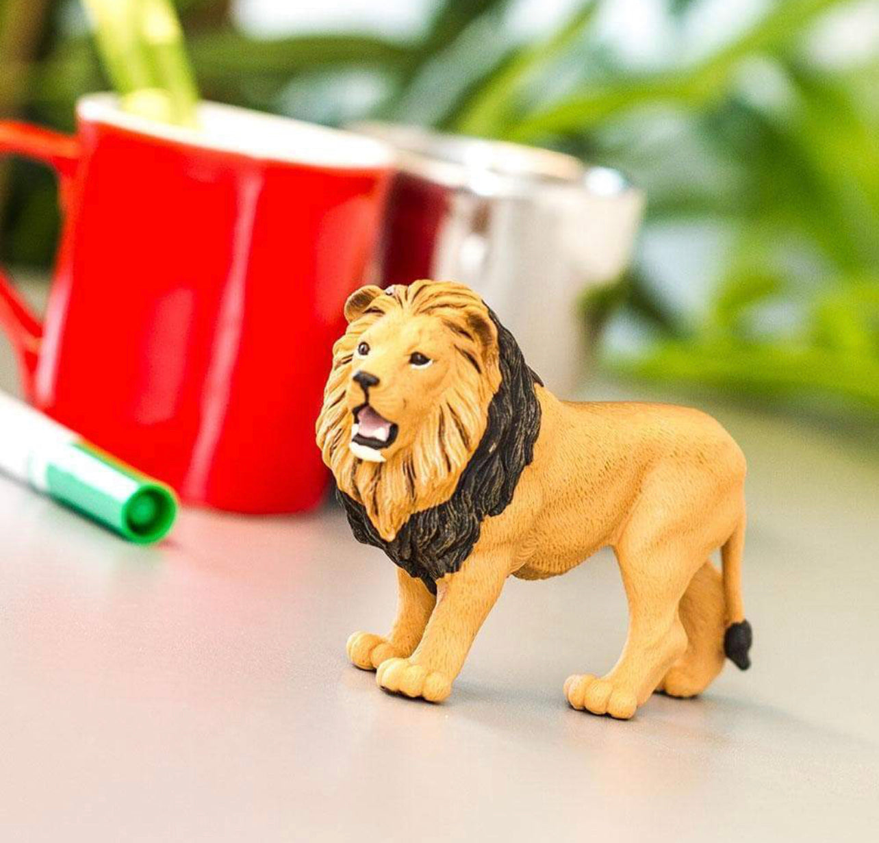 Safari Λιοντάρι