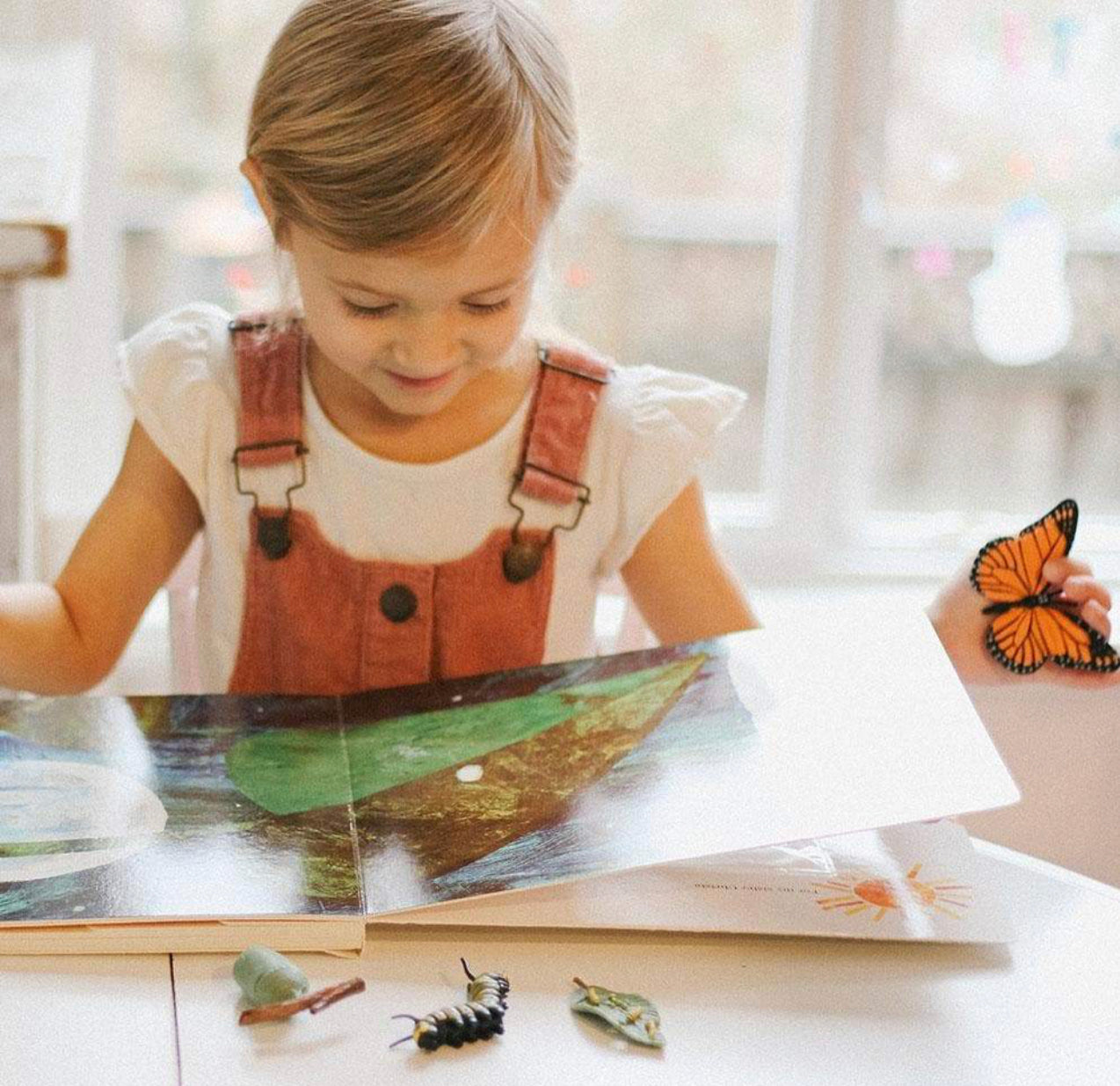 Κύκλος Ζωής μιας Πεταλούδας Μονάρχη