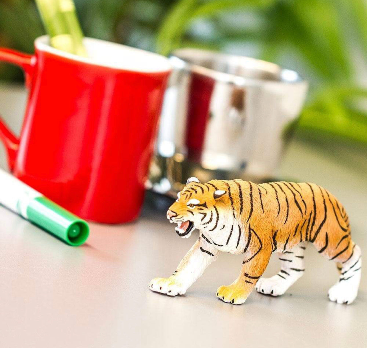 Safari Τίγρη της Βεγγάλης