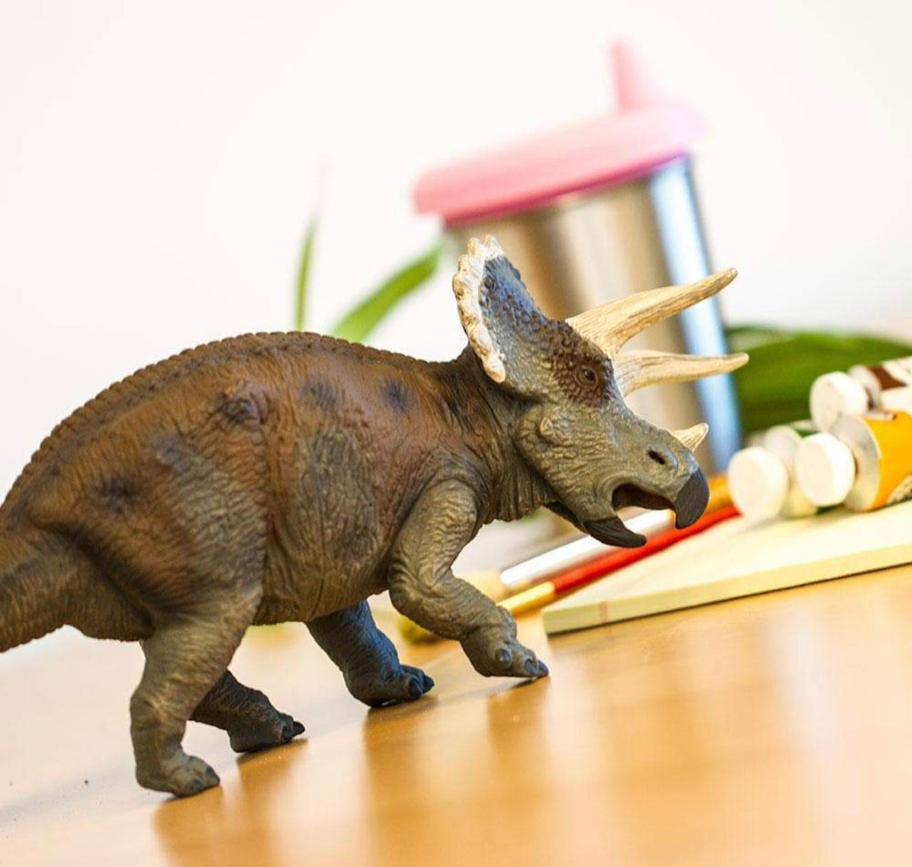 Safari Τρικεράτωψ