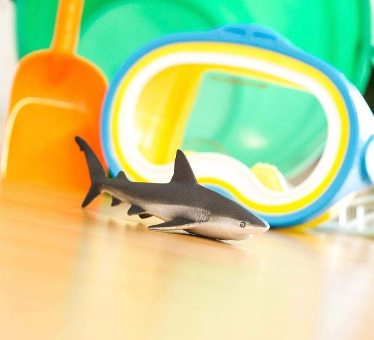 Safari Γκρίζος Καρχαρίας Υφάλου