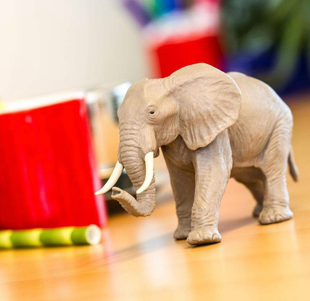 Safari Αφρικανικός Eλέφαντας