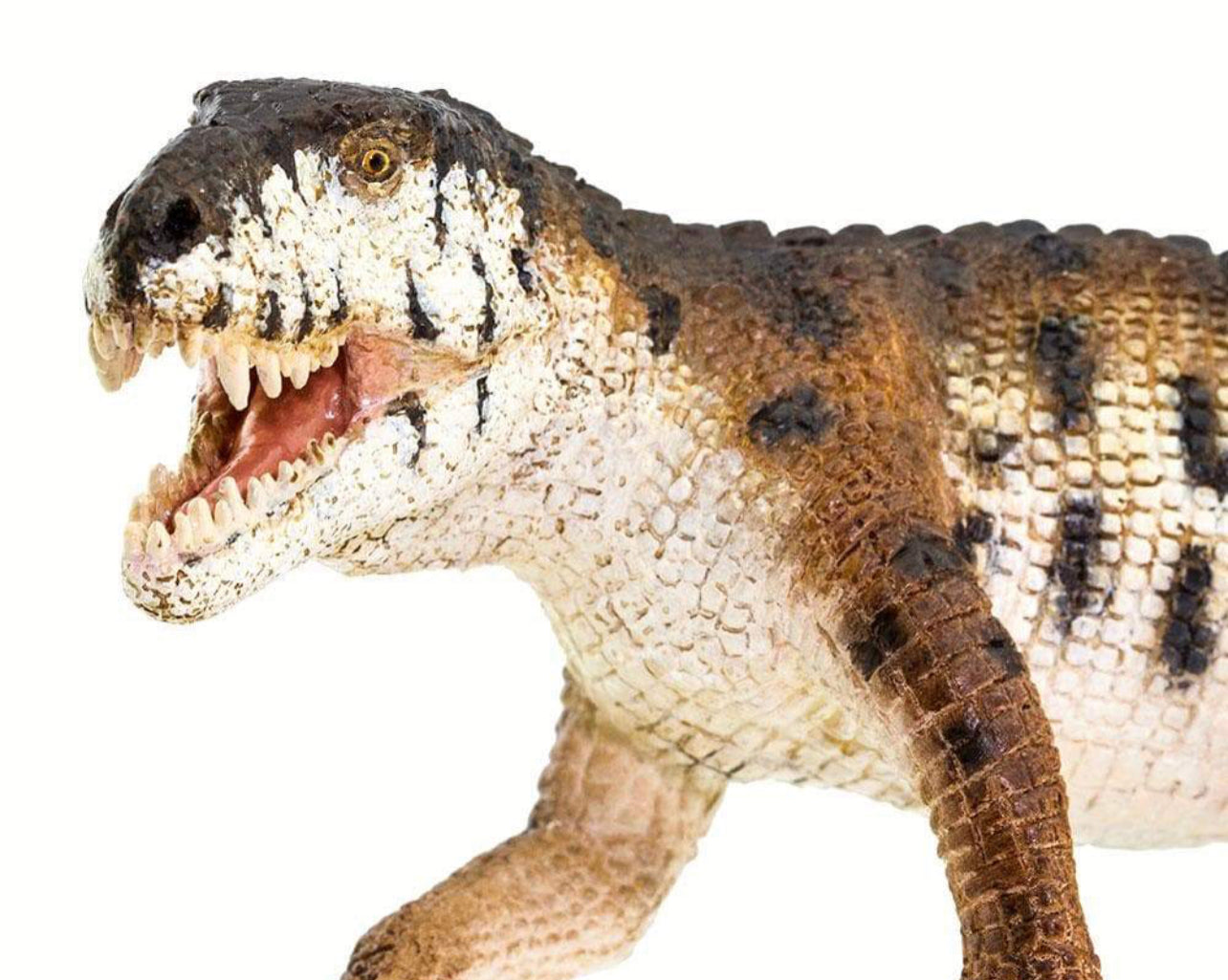 Safari Prestosuchus