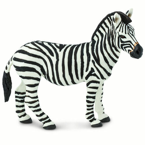 Safari Ζέβρα