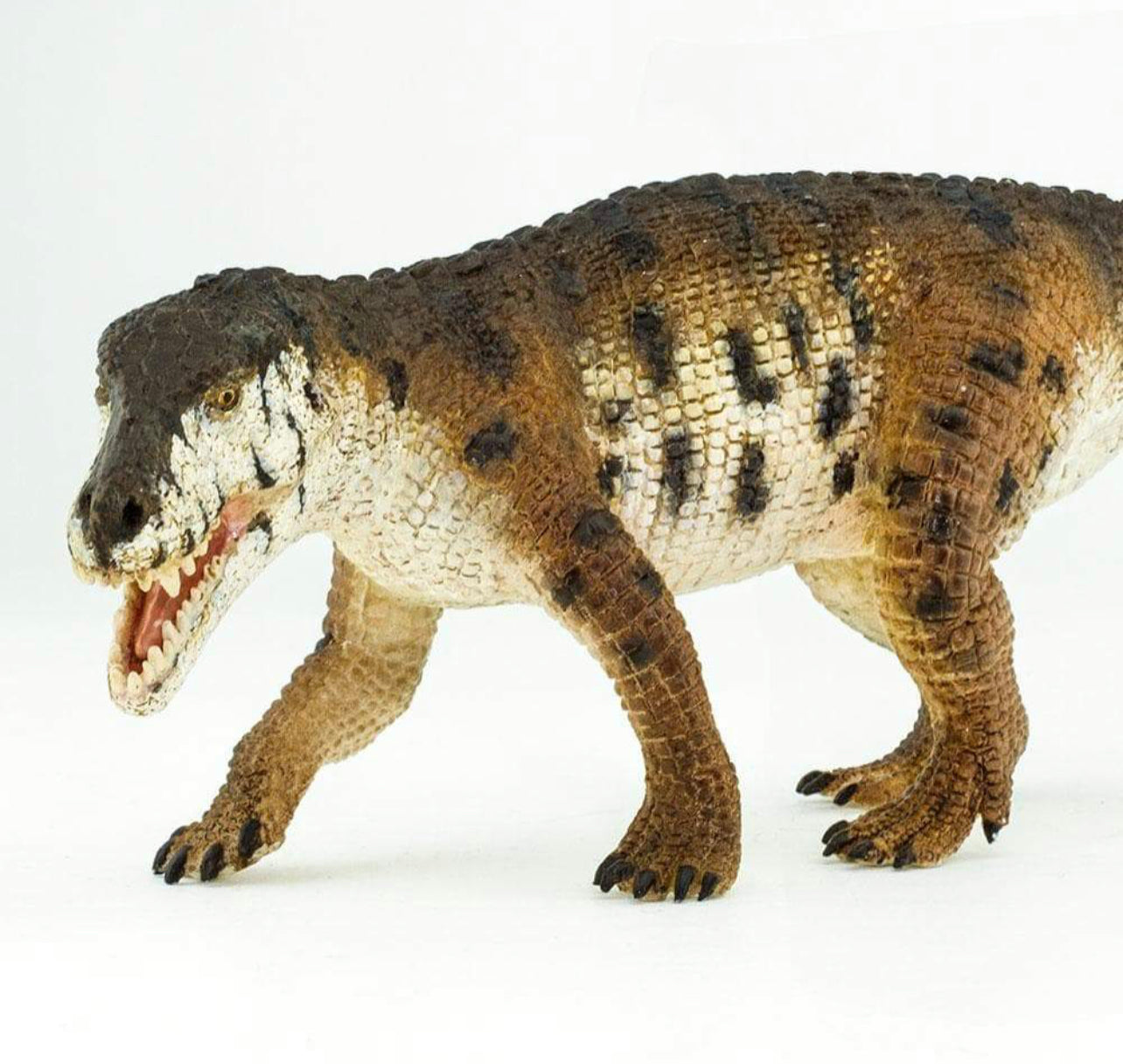 Safari Prestosuchus