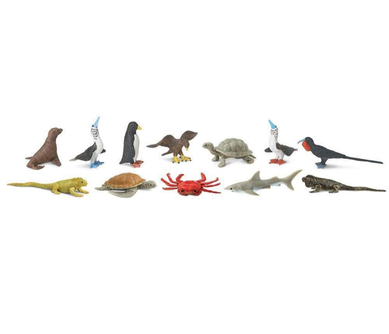 Μινιατούρες Safari Νησιά Galapagos