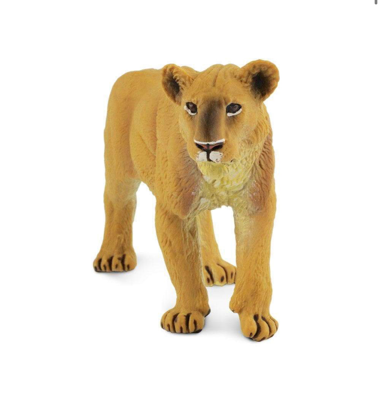 Safari Λέαινα