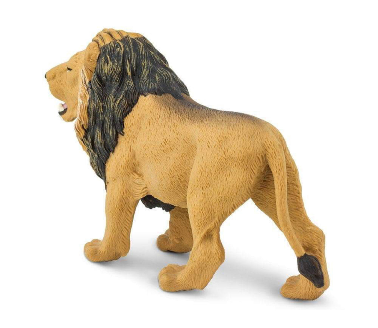 Safari Λιοντάρι