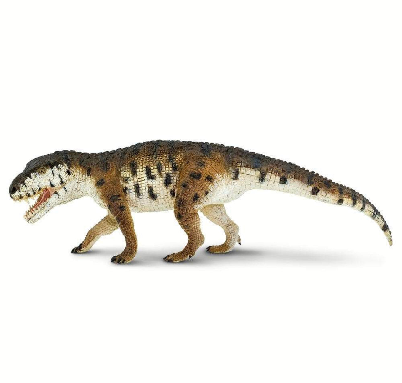 Safari Prestosuchus