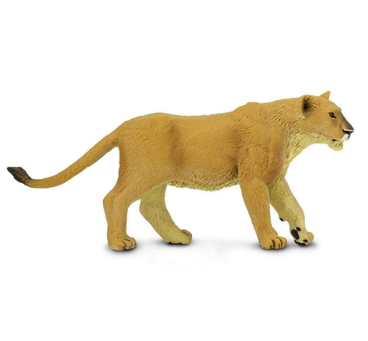 Safari Λέαινα