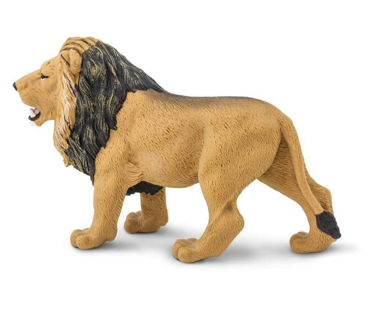 Safari Λιοντάρι